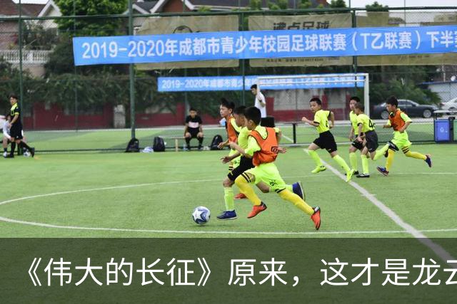 《伟大的长征》原来，这才是龙云"弃暗投明"的真相