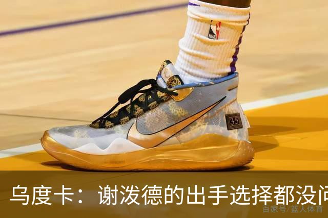 乌度卡：谢泼德的出手选择都没问题 斯玛特缺席他会更多打控卫