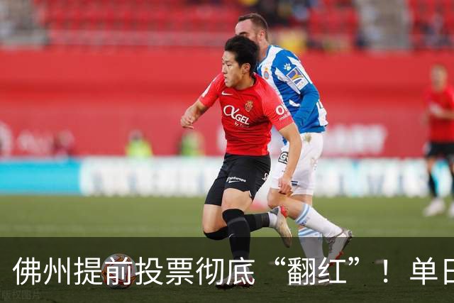 佛州提前投票彻底“翻红”！单日碾压11.2%