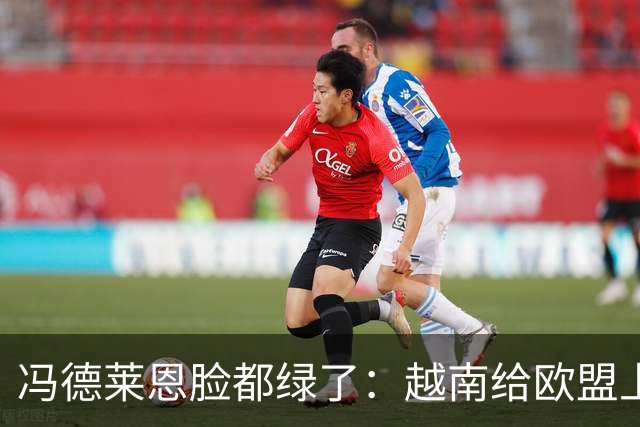 冯德莱恩脸都绿了：越南给欧盟上了一课：什么叫 “中国力量”！