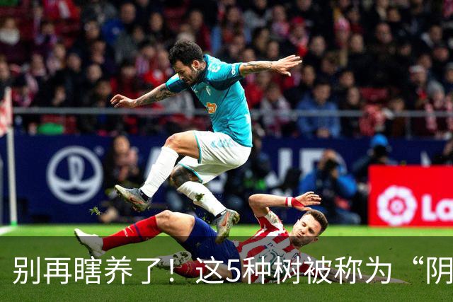 别再瞎养了！这5种树被称为“阴树”，再喜欢也别搬进家，看完赶紧搬出去