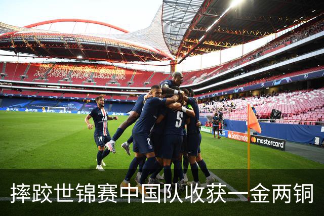 摔跤世锦赛中国队收获一金两铜