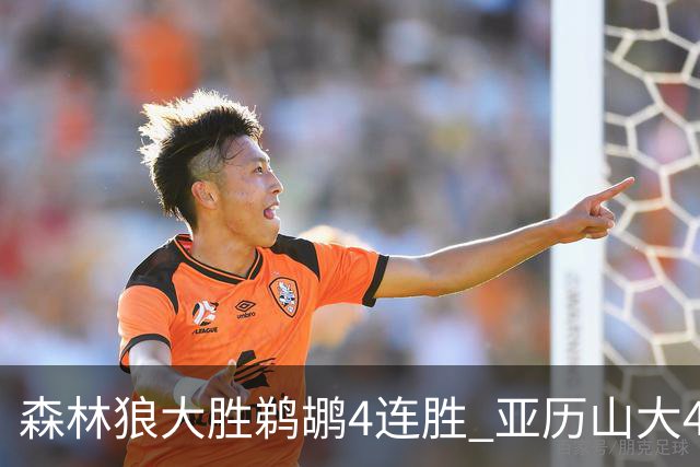 森林狼大胜鹈鹕4连胜 亚历山大43分雷霆克骑士
