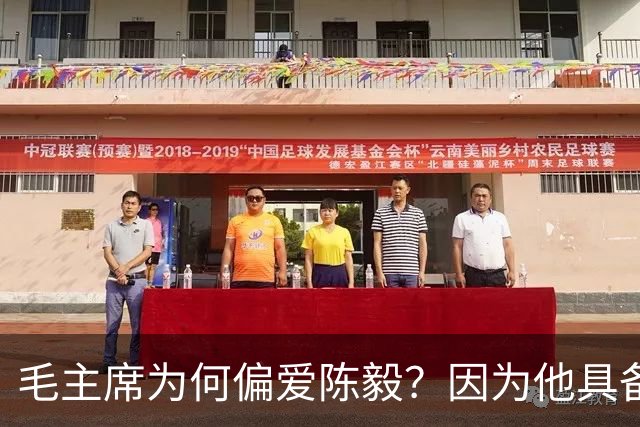 毛主席为何偏爱陈毅？因为他具备三大优点，喜爱也很正常！