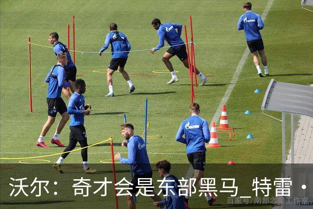 沃尔：奇才会是东部黑马 特雷·杨和浓眉有实力关键看健康