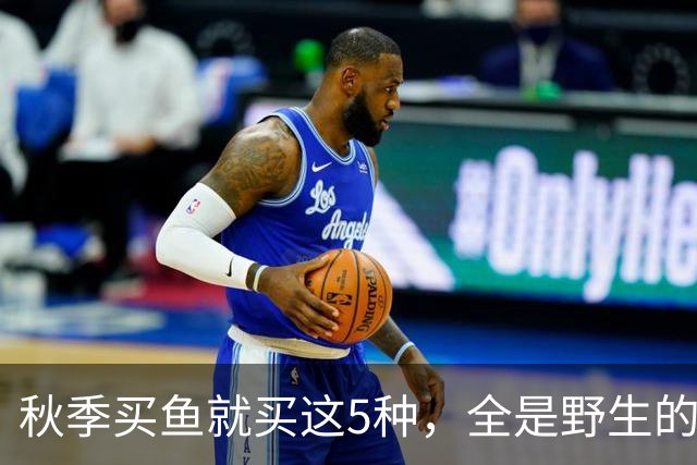 秋季买鱼就买这5种，全是野生的，人工养不了，比养殖鱼更香