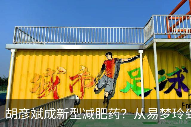 胡彦斌成新型减肥药？从易梦玲到前几任，分手后都像被抽干精气神