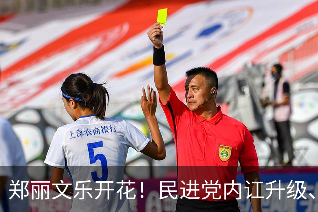 郑丽文乐开花！民进党内讧升级、24年老将反水？国民党2人很尴尬