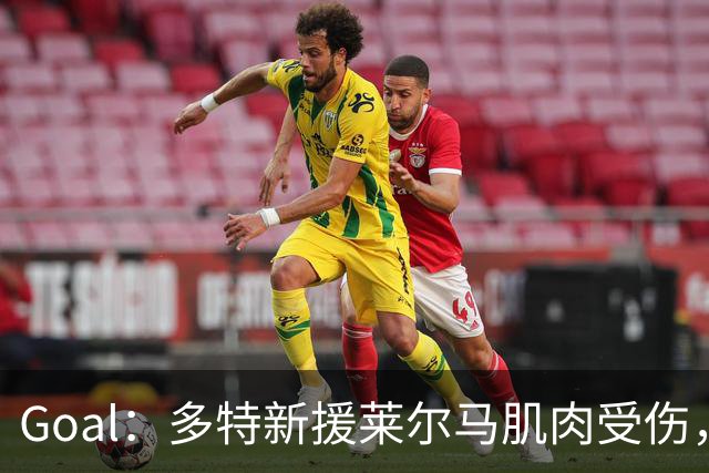Goal：多特新援莱尔马肌肉受伤，复出时间未定